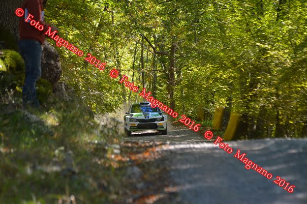 DSC_2049.JPG